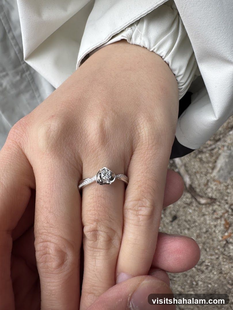 Close-up of hands wearing a ring