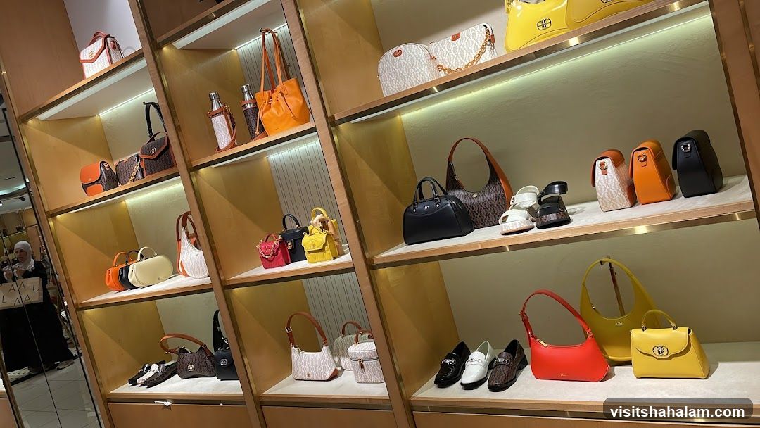 Handbags and Shoes Display