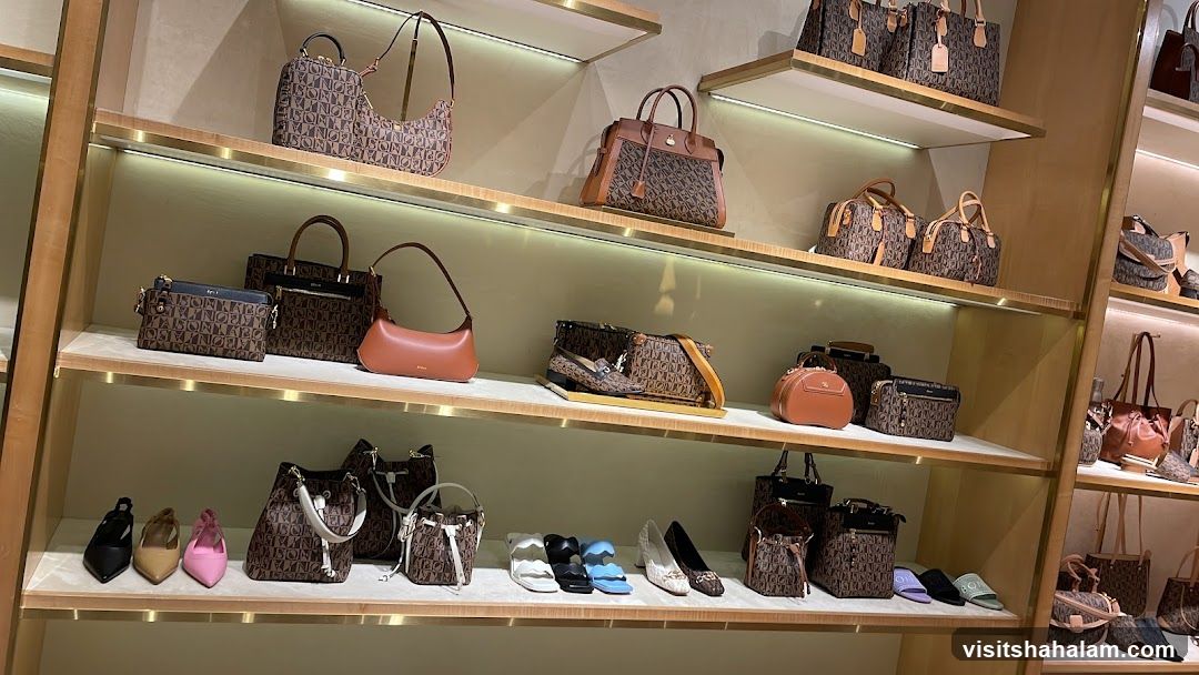 Handbags and Shoes Display