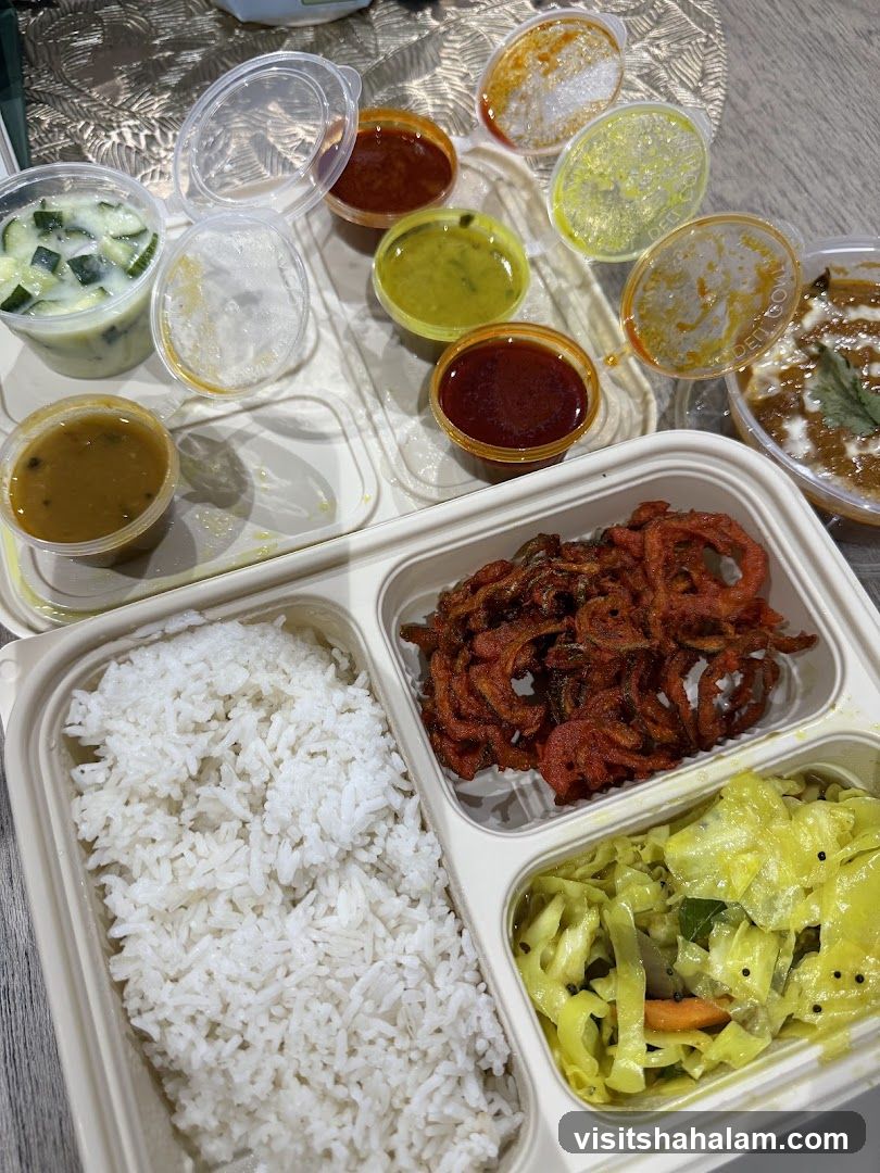 Indian Takeout Meal