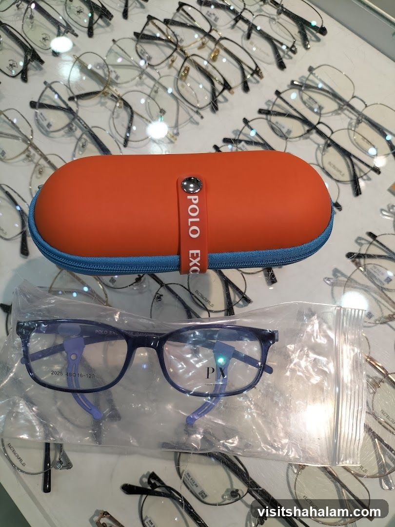 Eyeglasses and Case