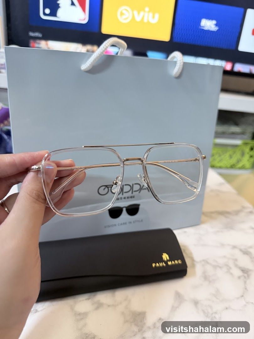 Eyeglasses and Case