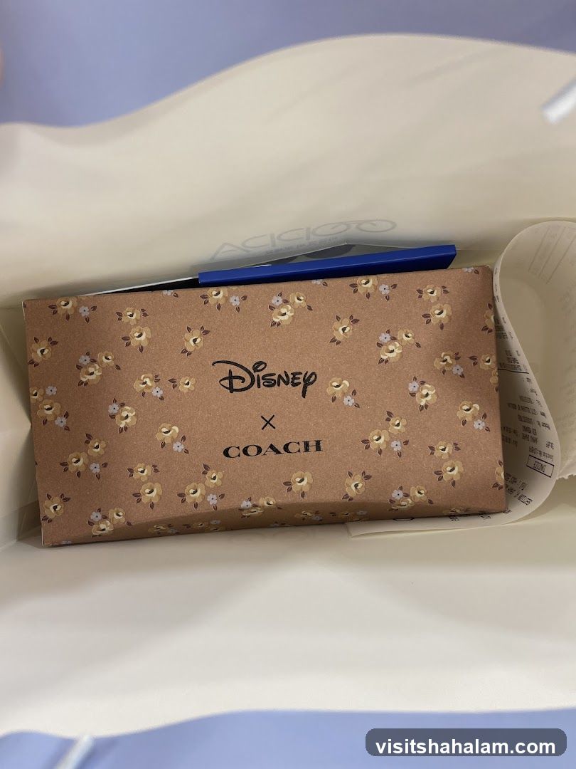 Disney x Coach Box