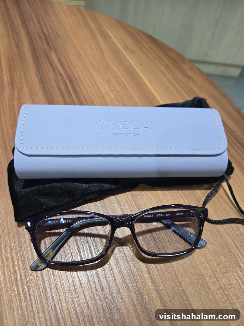 Eyeglasses and Case