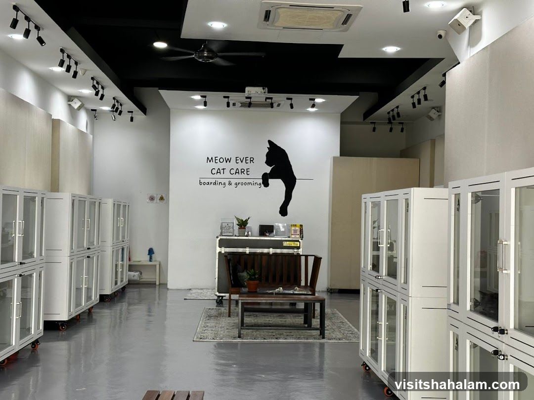 Meowever Cat Centre