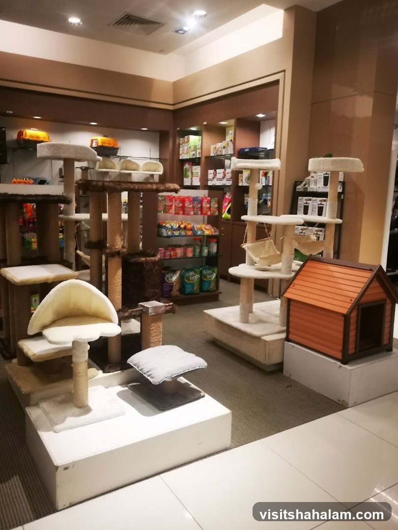 Pet Store Display