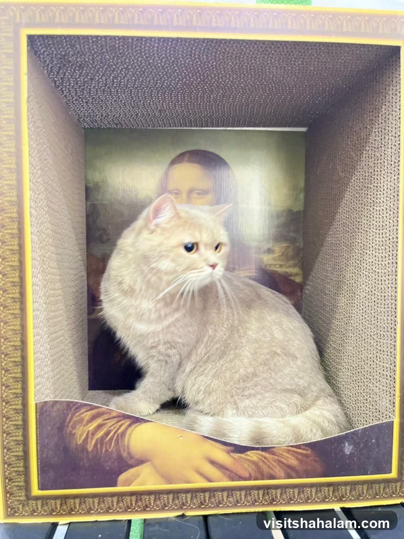 Cat in a Mona Lisa-themed box