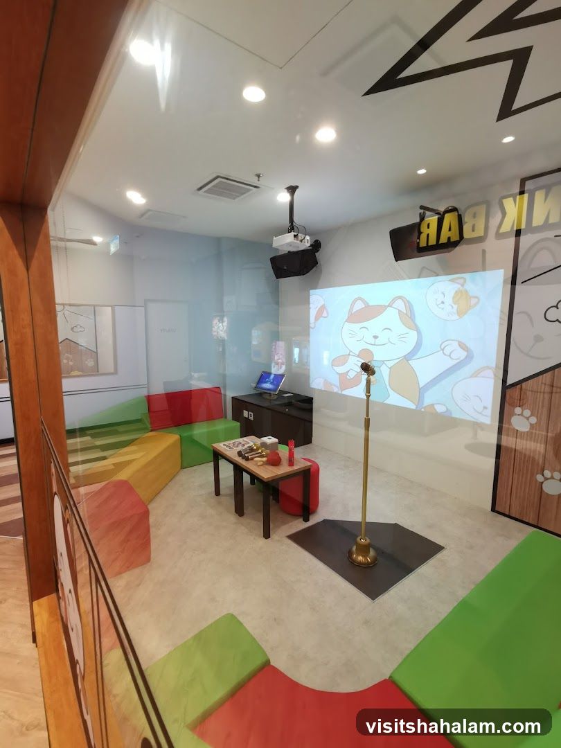 Karaoke Room