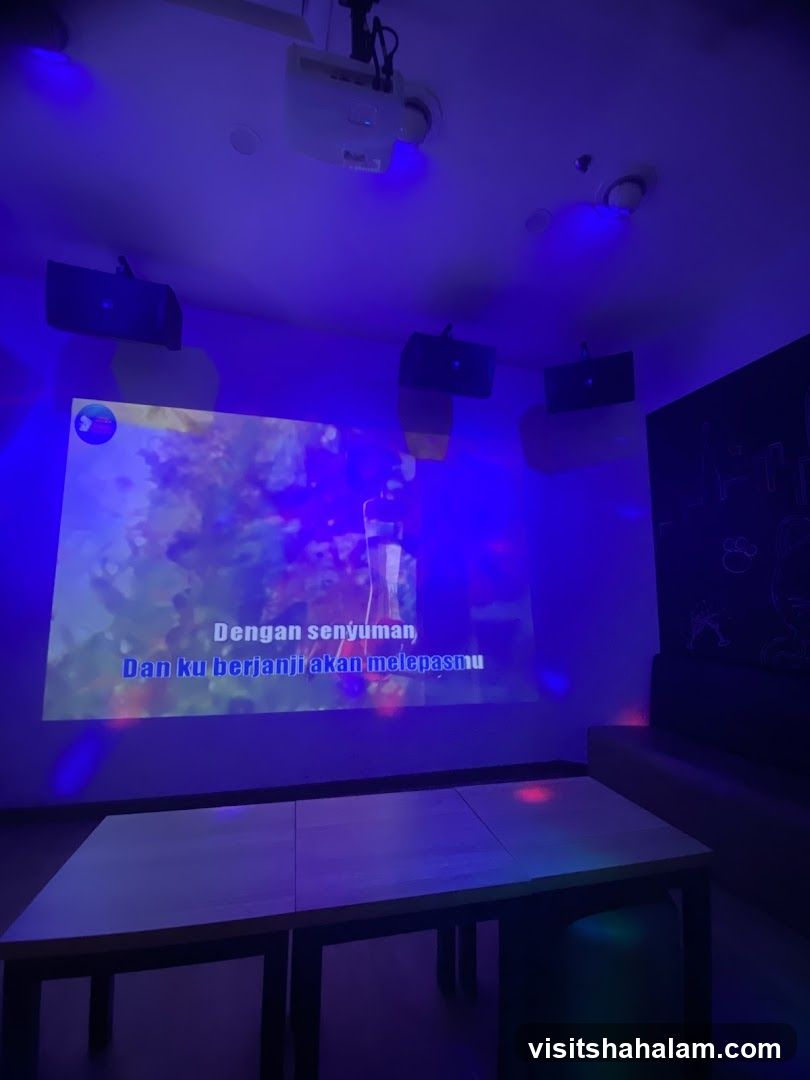 Karaoke Room