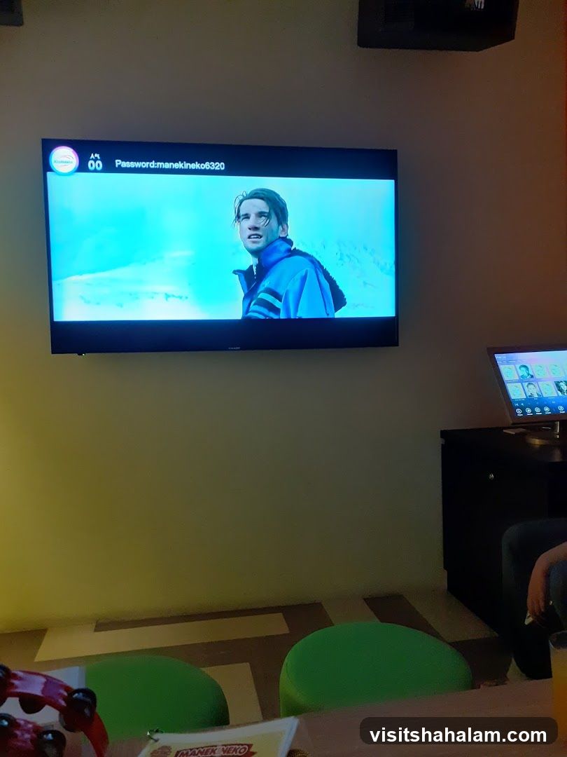 Karaoke Screen and Seating