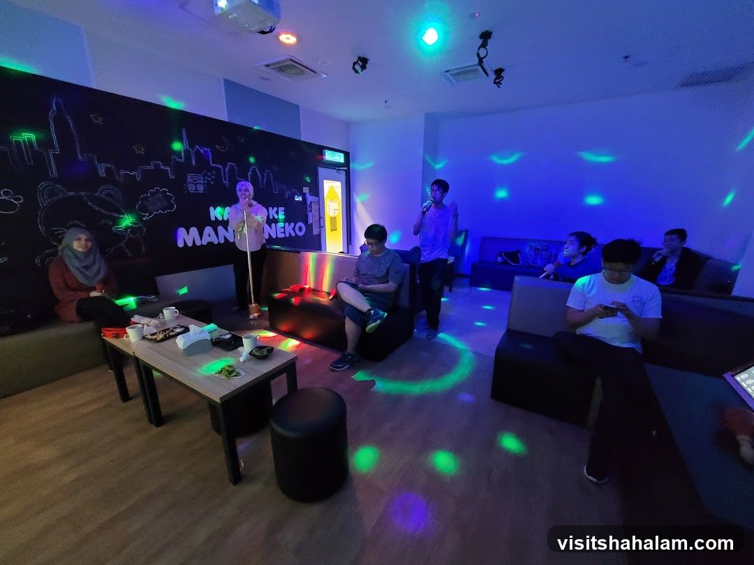 Karaoke Room with People Singing and Relaxing