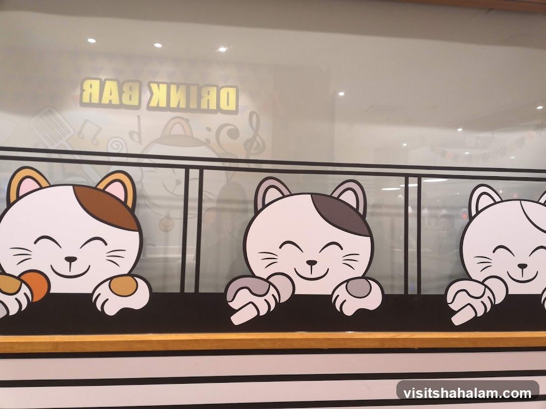 Cute Cat Decorations