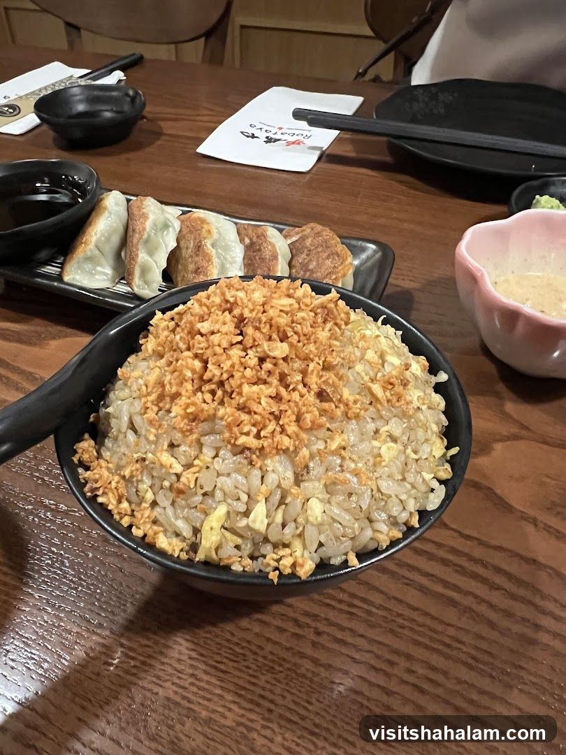 Fried Rice and Gyoza