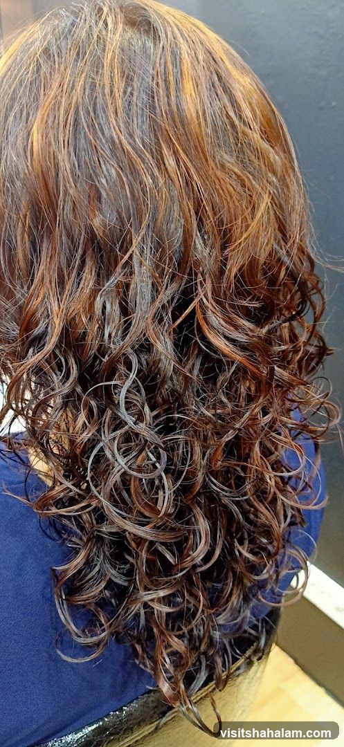 Wet, Curly Hair with Highlights