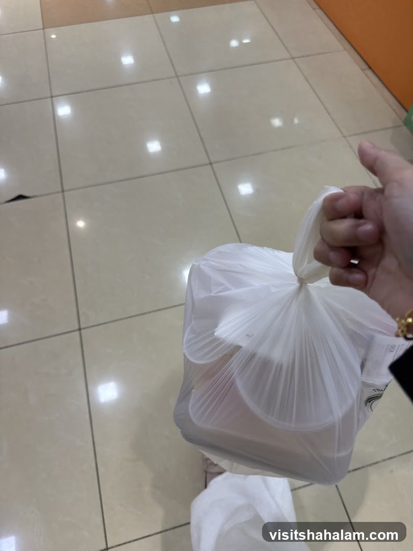 Takeout Bag