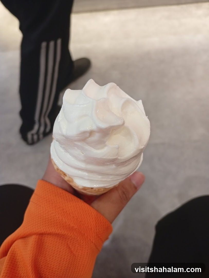 Ice Cream Cone