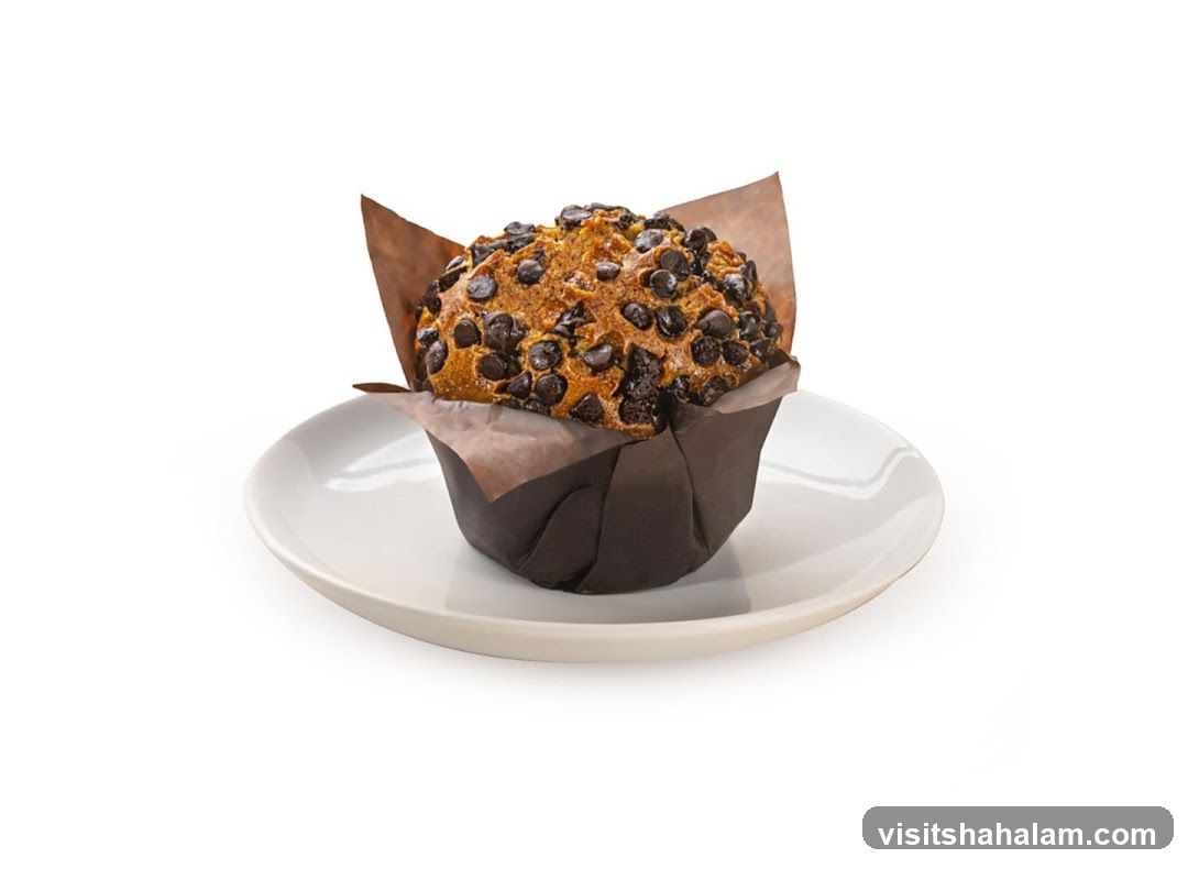 Chocolate Chip Muffin