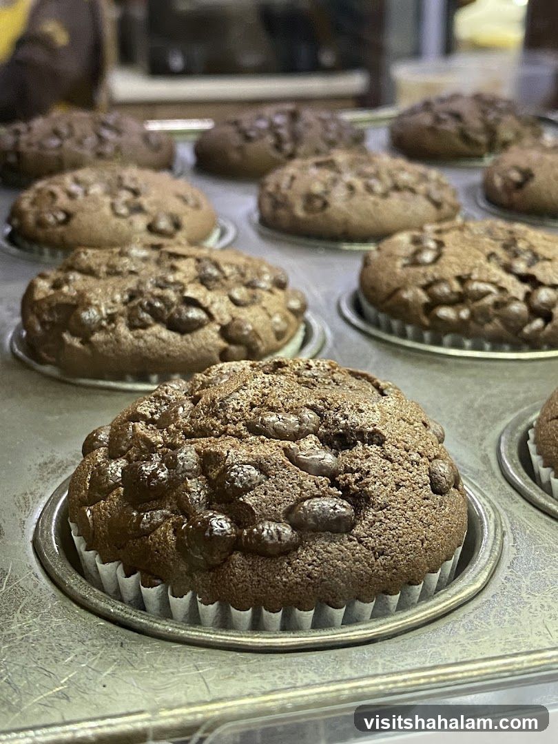 Chocolate Chip Muffins