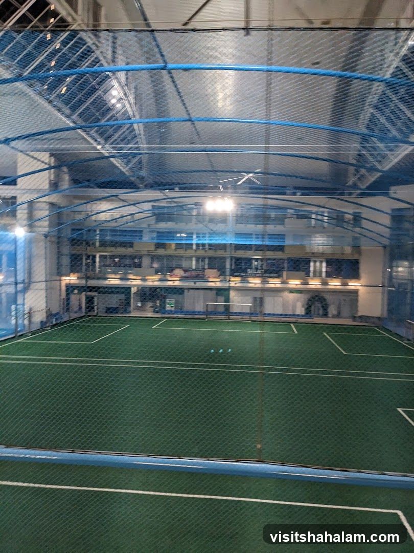 DO Arena