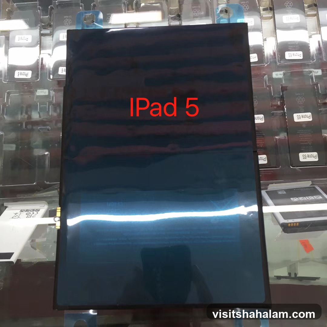 iPad 5 Screen