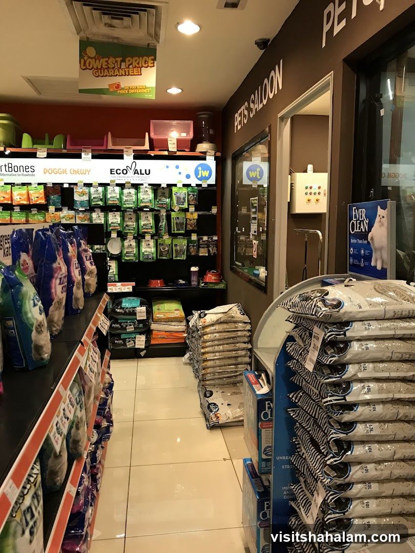Pet Store Interior