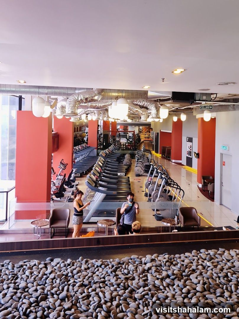 Gym Interior with Treadmills and Exercise Equipment