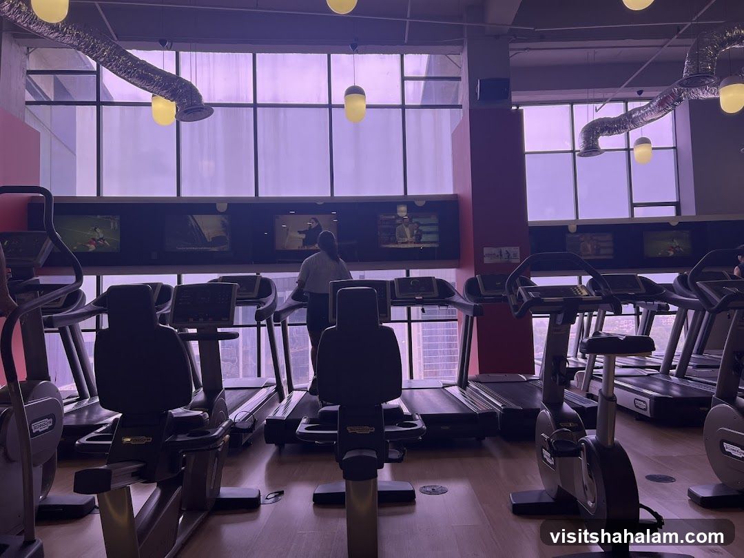 Gym Interior with Treadmills and Exercise Bikes
