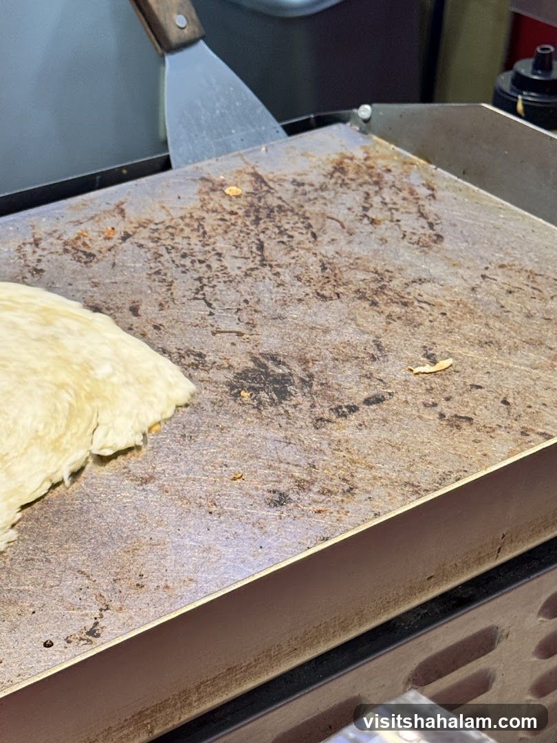 Griddle with Tortilla and Spatula
