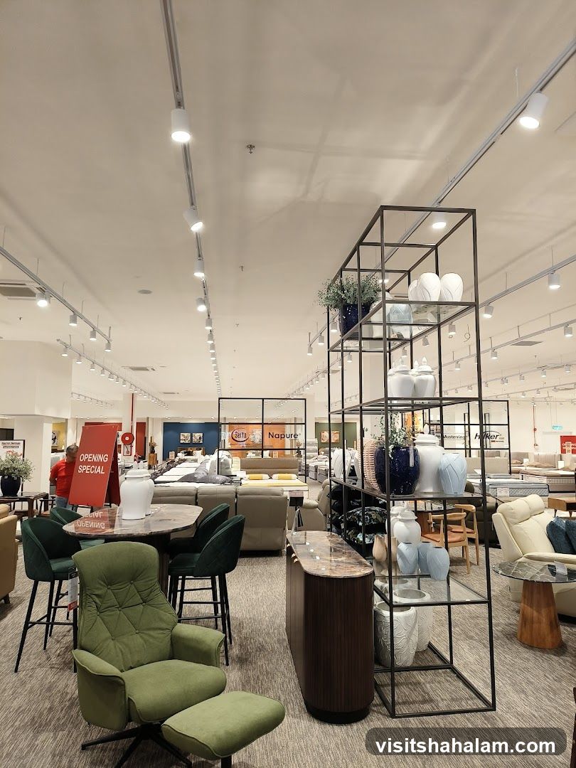 Furniture Store Interior