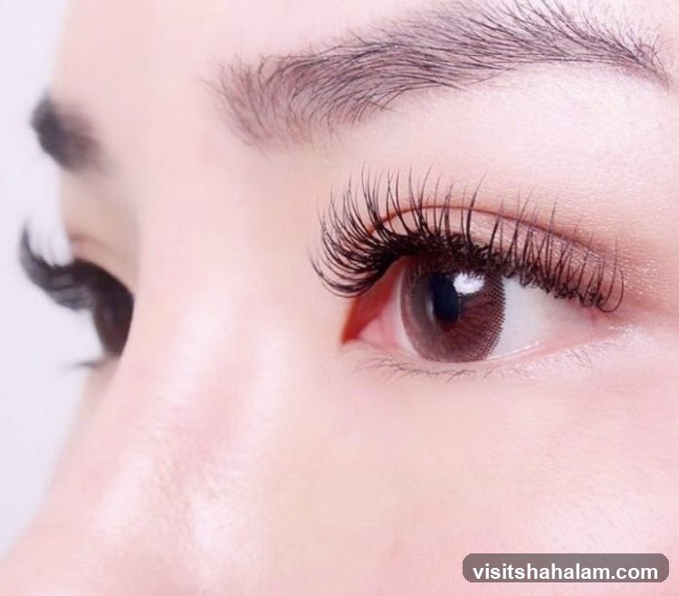 Close-up of an eye with dramatic eyelashes