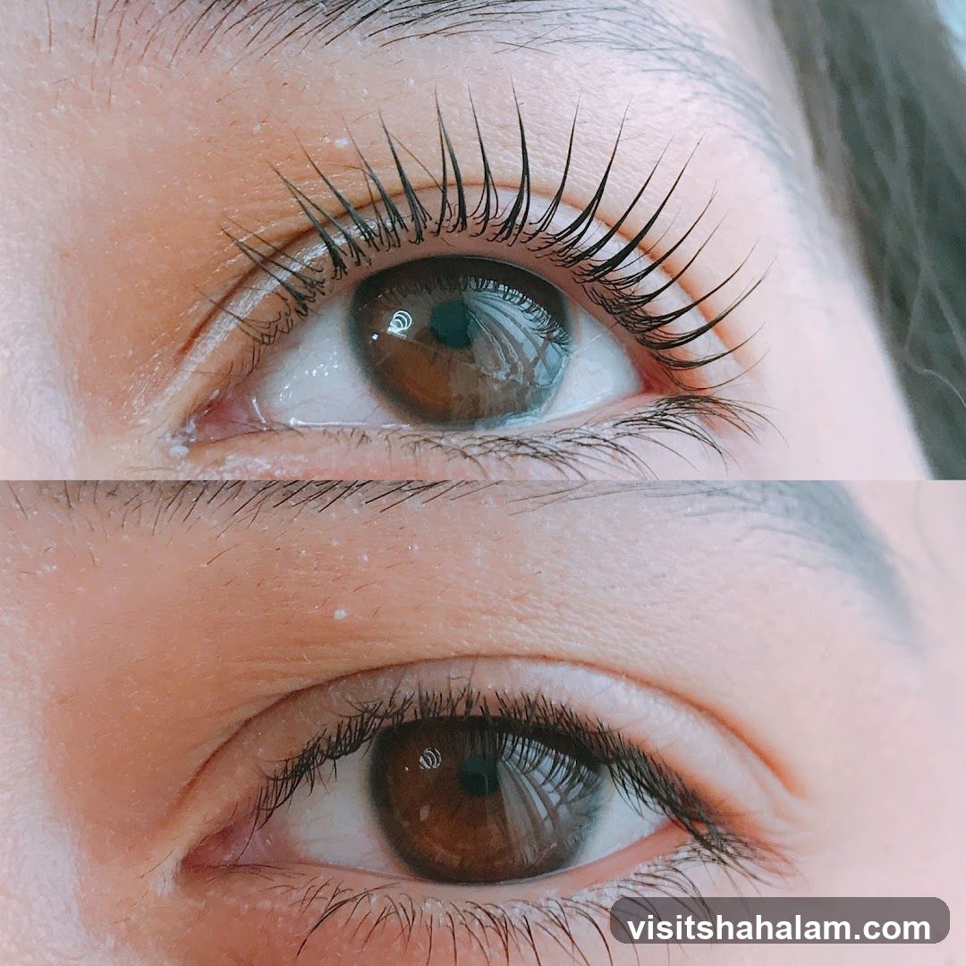 Before and After Eyelash Perm