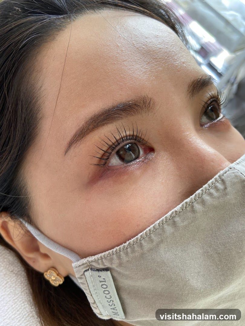 Close-up of a woman's eye with lash lift