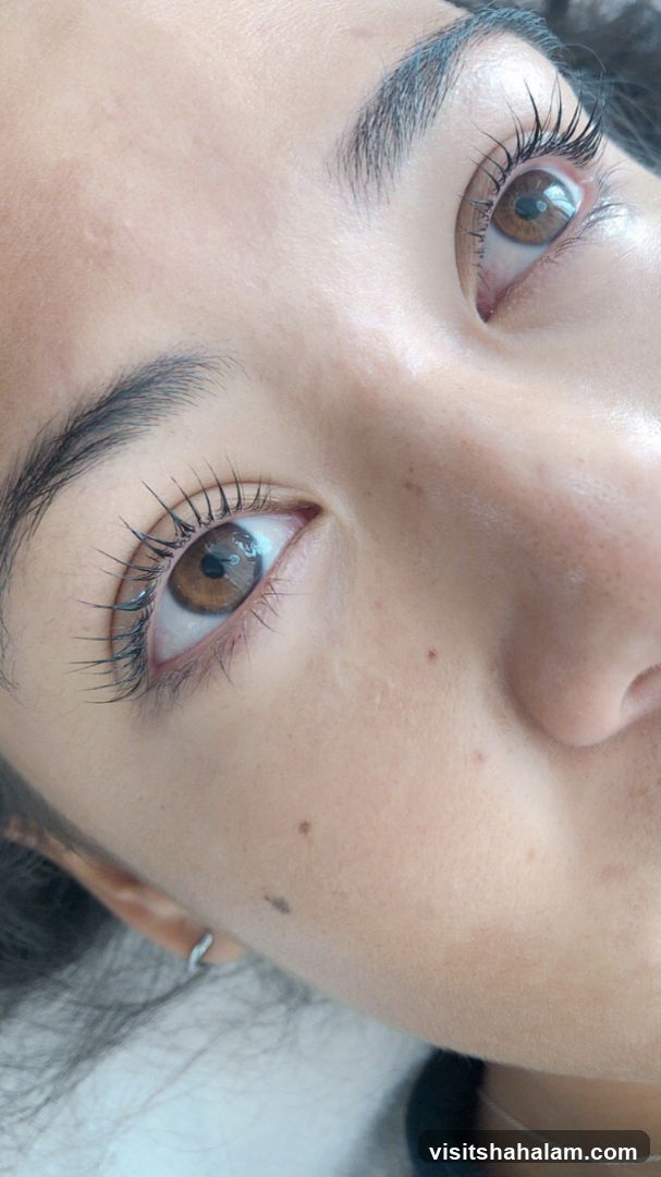Lash Lift