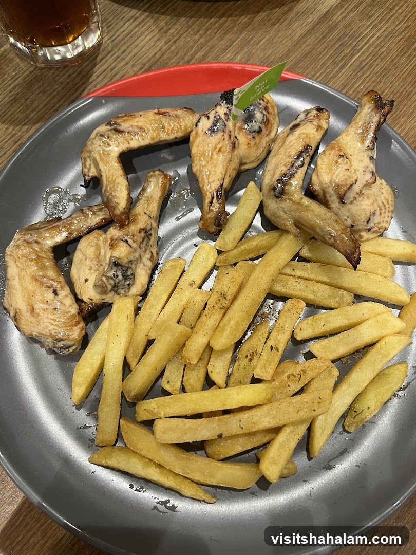 Chicken Wings and Fries