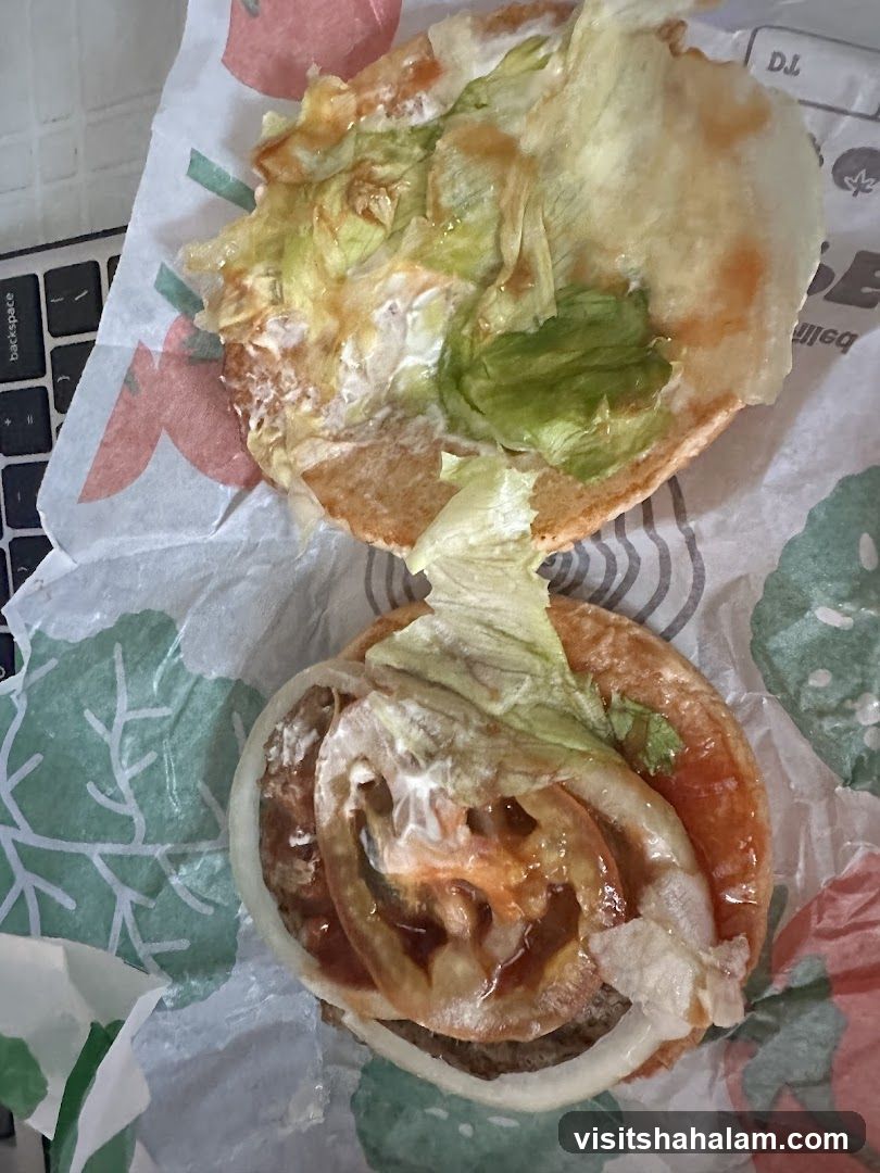 Burger on Wrapper