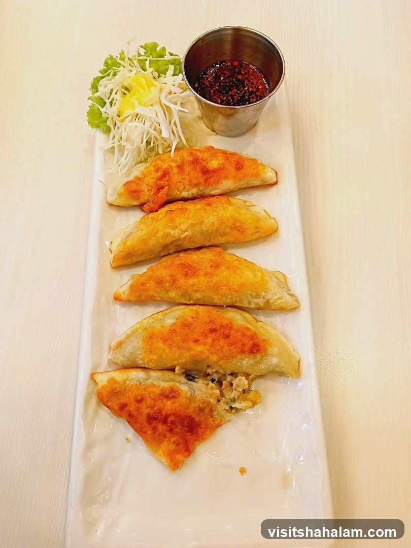 Pan-fried dumplings with dipping sauce