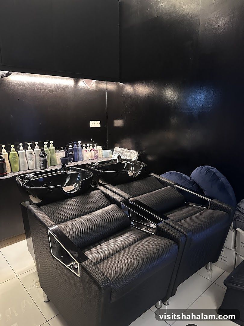 Hair Salon Wash Stations