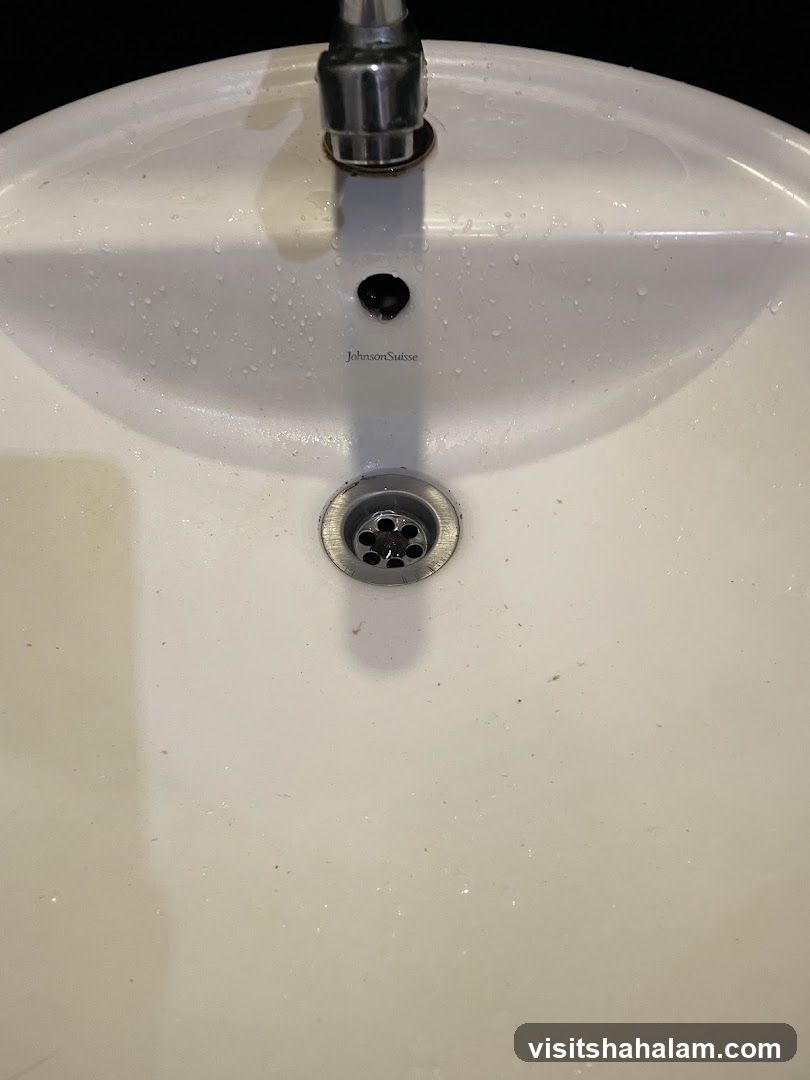 Sink Basin
