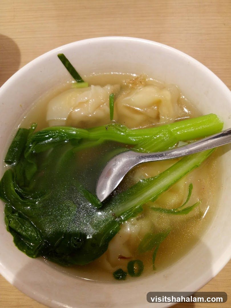 Wonton Soup