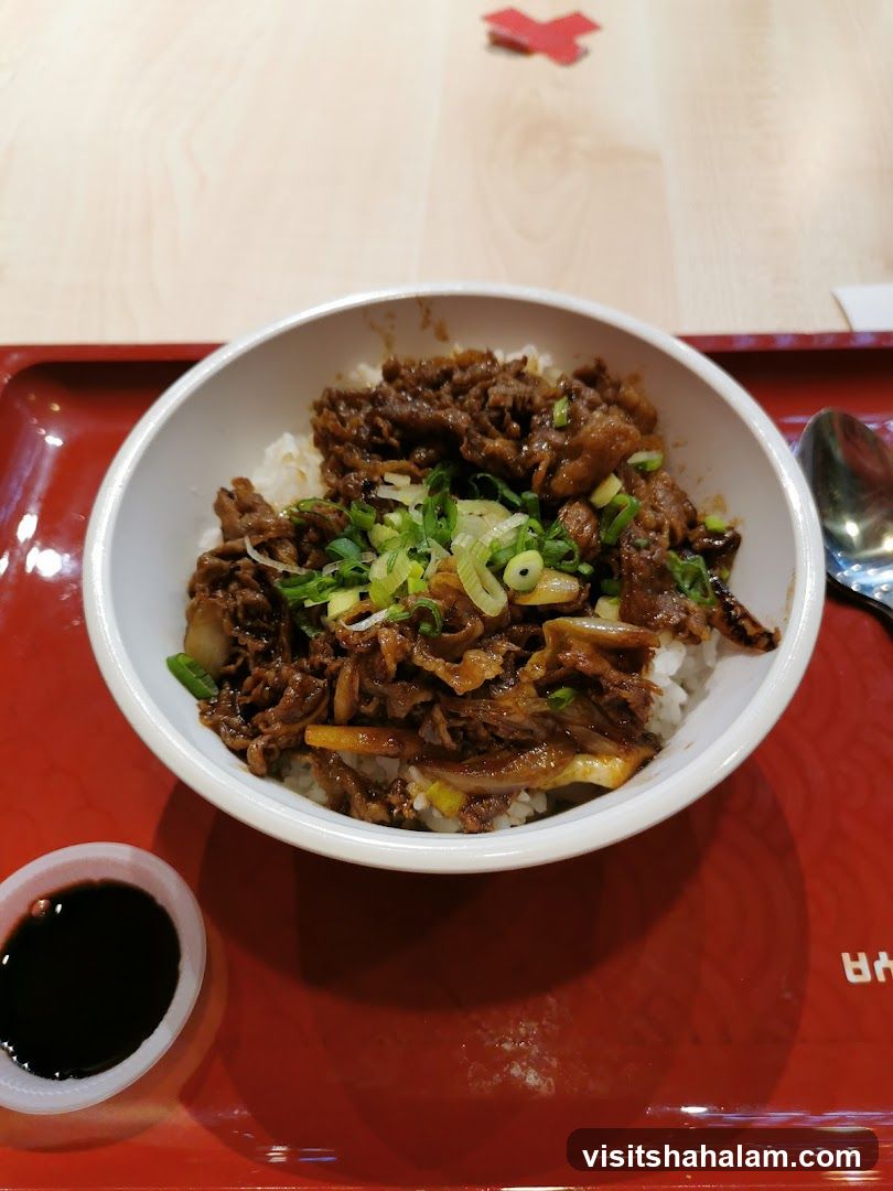 Beef and Rice Bowl