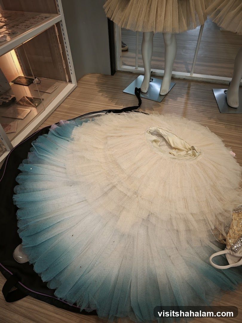 Ballet Tutu Display