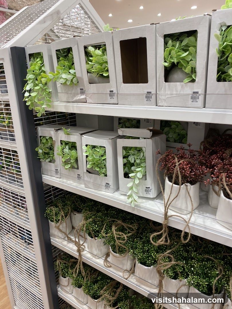 Artificial Plants on Shelves
