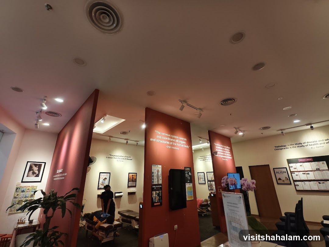 Chiropractic Clinic Interior