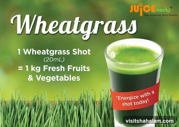 Wheatgrass Shot Advertisement