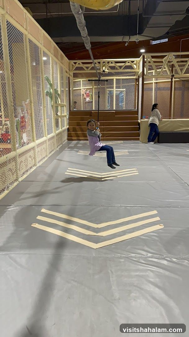 Indoor Playground Zip Line