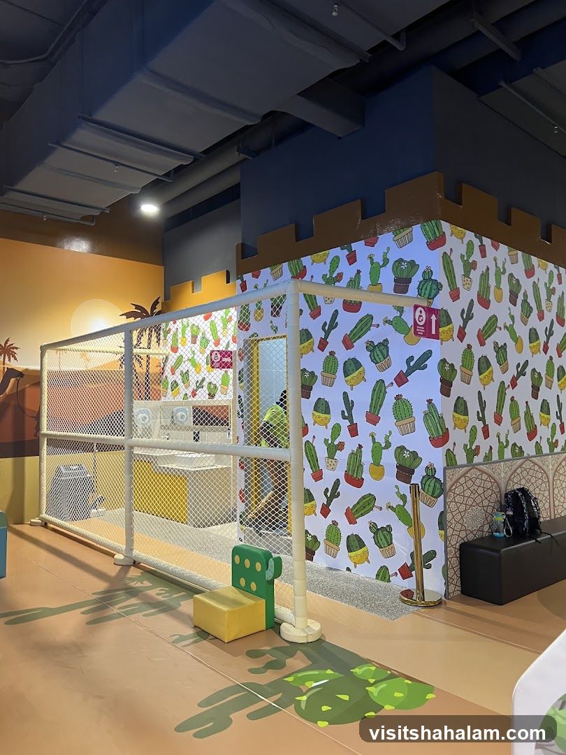 Indoor Play Area with Cactus Theme