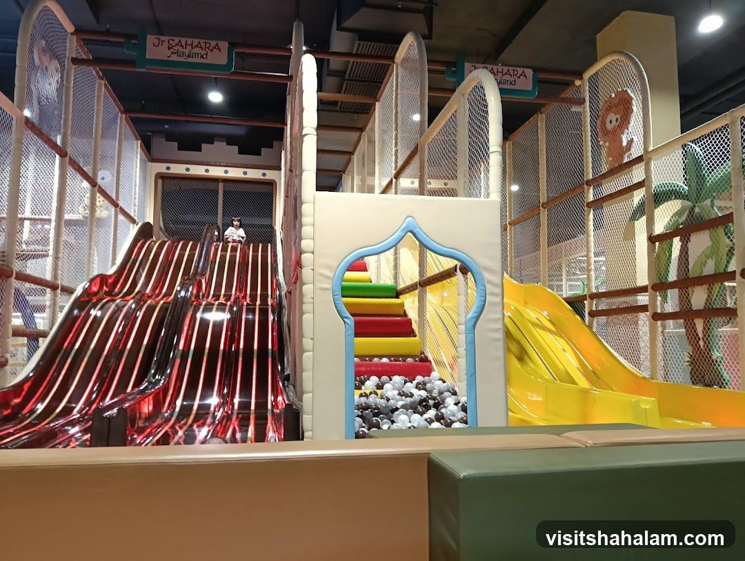 Indoor Playground with Slides and Ball Pit