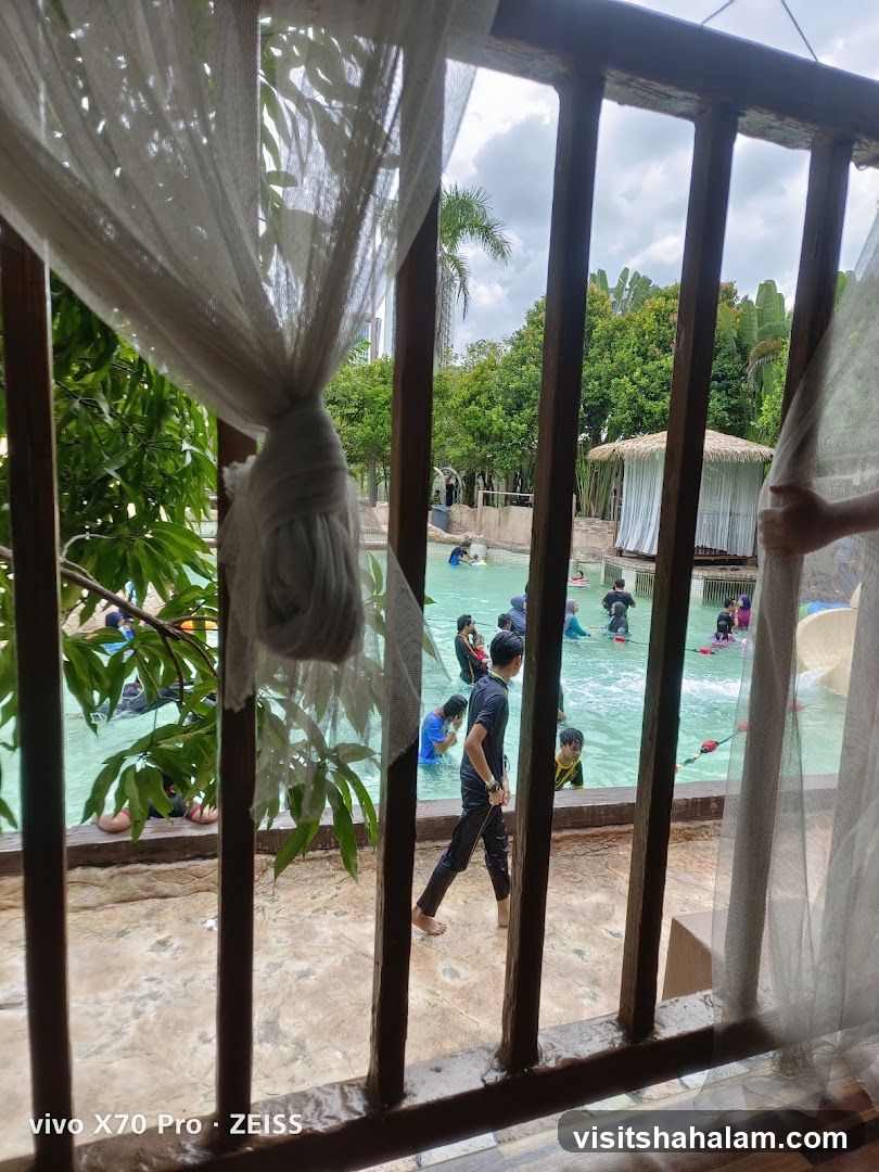 People swimming in a pool