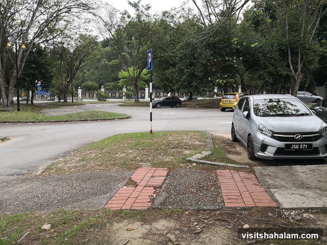 Parking Lot with Cars and Trees