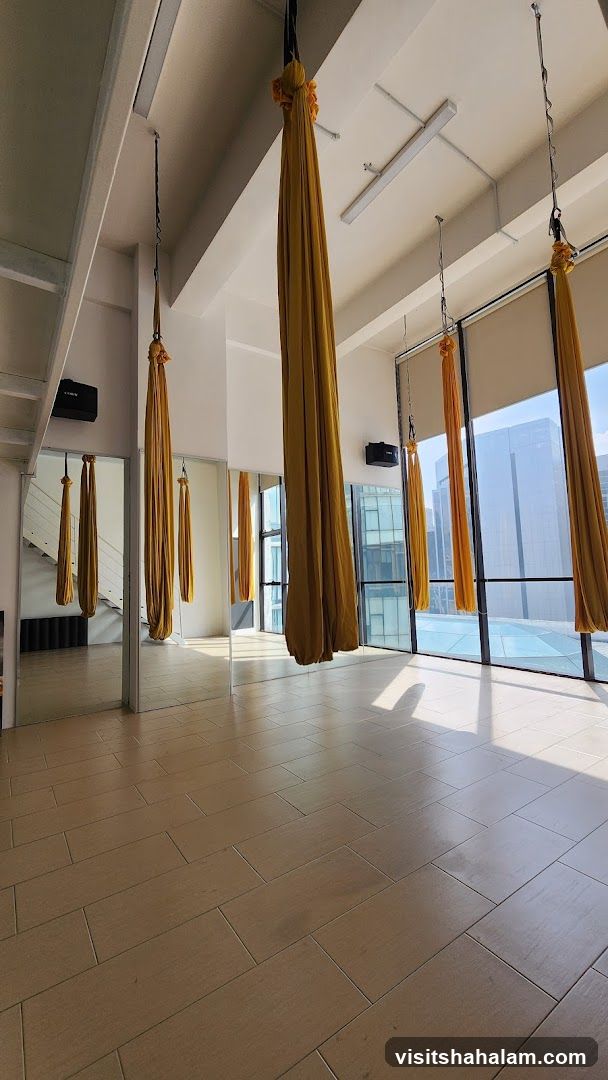 Aerial Yoga Studio